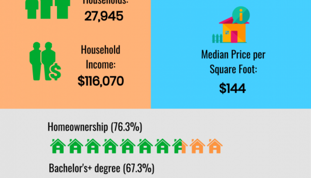 Johns Creek GA Snapshot